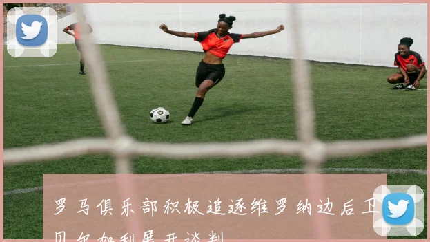罗马俱乐部积极追逐维罗纳边后卫贝尔加利展开谈判